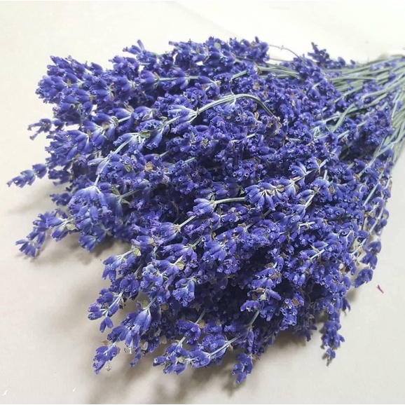 Hoa Khô Lavender, Hoa Oải Hương Lavender Thơm Ngát, Decor Siêu Xinh