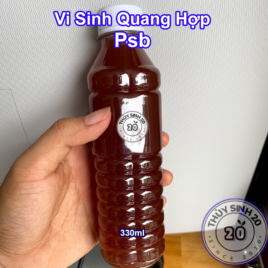 Vi Sinh quang hợp Psb hỗ trợ làm trong nước