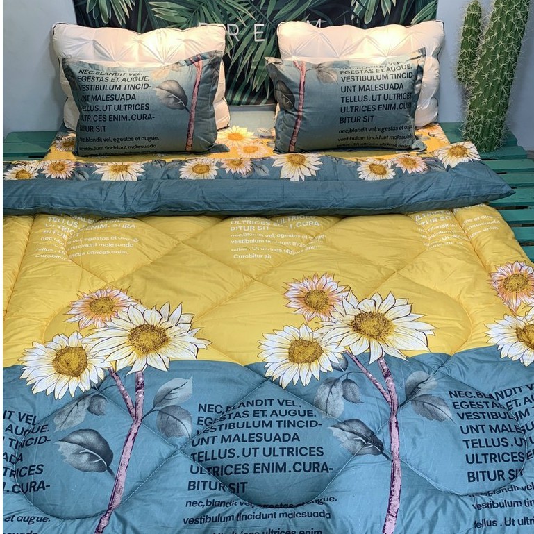 Chăn trần phao siêu nhẹ siêu rẻ