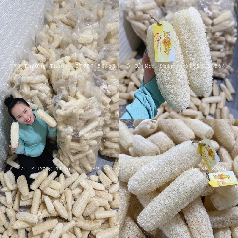 XƠ MƯỚP TỰ NHIÊN TẮM TẨY DA CHẾT