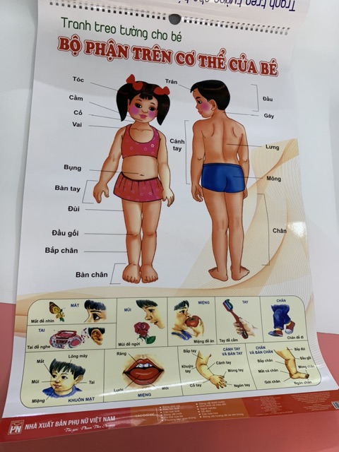 Bộ Tranh Treo Tường Về Thế Giới Xung Quanh 14 Chủ Đề Cho Bé