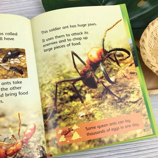 [Big Sale!] Bộ nhập 10q - USBORNE BEGINNERS NATURE BOXSET