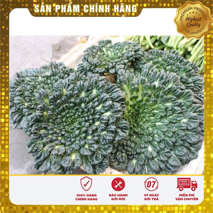 Hạt giống Ray Cải Hoa Hồng ( gói 1 Gram NGON MÀ ĐẸP)