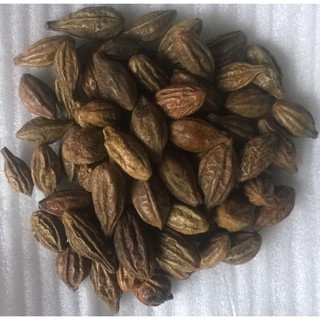 0,5 kg Quả kha tử