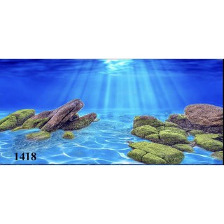 Tranh dán bể cá 3D