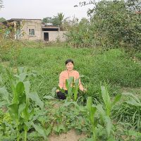 Sieuthionline_hanoi