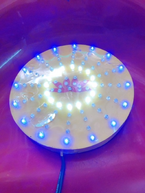 Đèn hào quang 1T8 MICA , đèn trang trí - ảnh và video do shop tự chụp