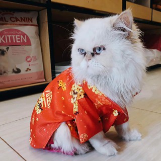 Áo dài siêu xinh thú cưng