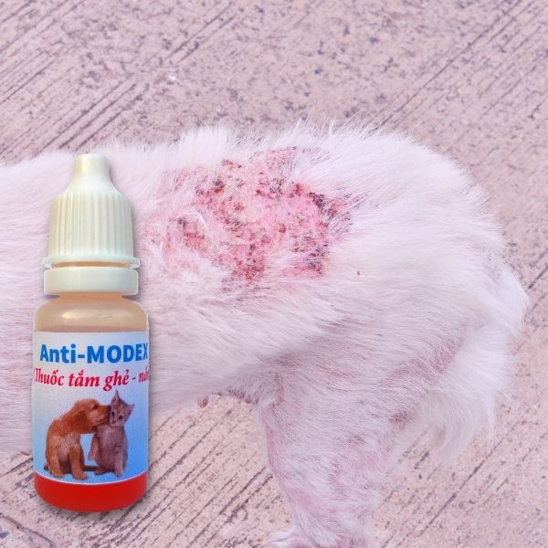 Thuốc tắm nấm, ghẻ, viêm da chó mèo Anti-MODEX chai 10ml