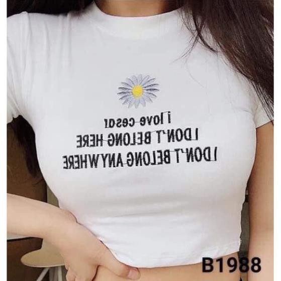 Áo Croptop Nữ In Hình Hoa Cúc Kèm Chữ 🦋FREESHIP🦋 Áo Phông Dáng Ngắn Cộc Tay 2 Màu | BigBuy360 - bigbuy360.vn
