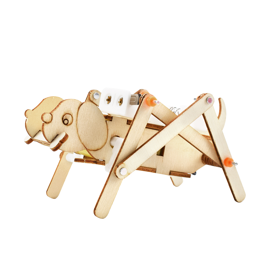 Bộ đồ chơi thí nghiệm khoa học tự làm hình chú chó gỗ biết đi