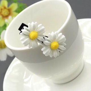 Kẹp 2 bông cúc hoạ mi