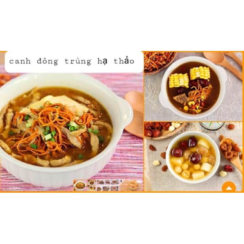 Đông trùng hạ thảo gói 100g