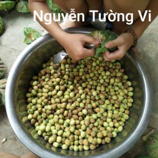 Sen Huế - Sen làng La Chữ