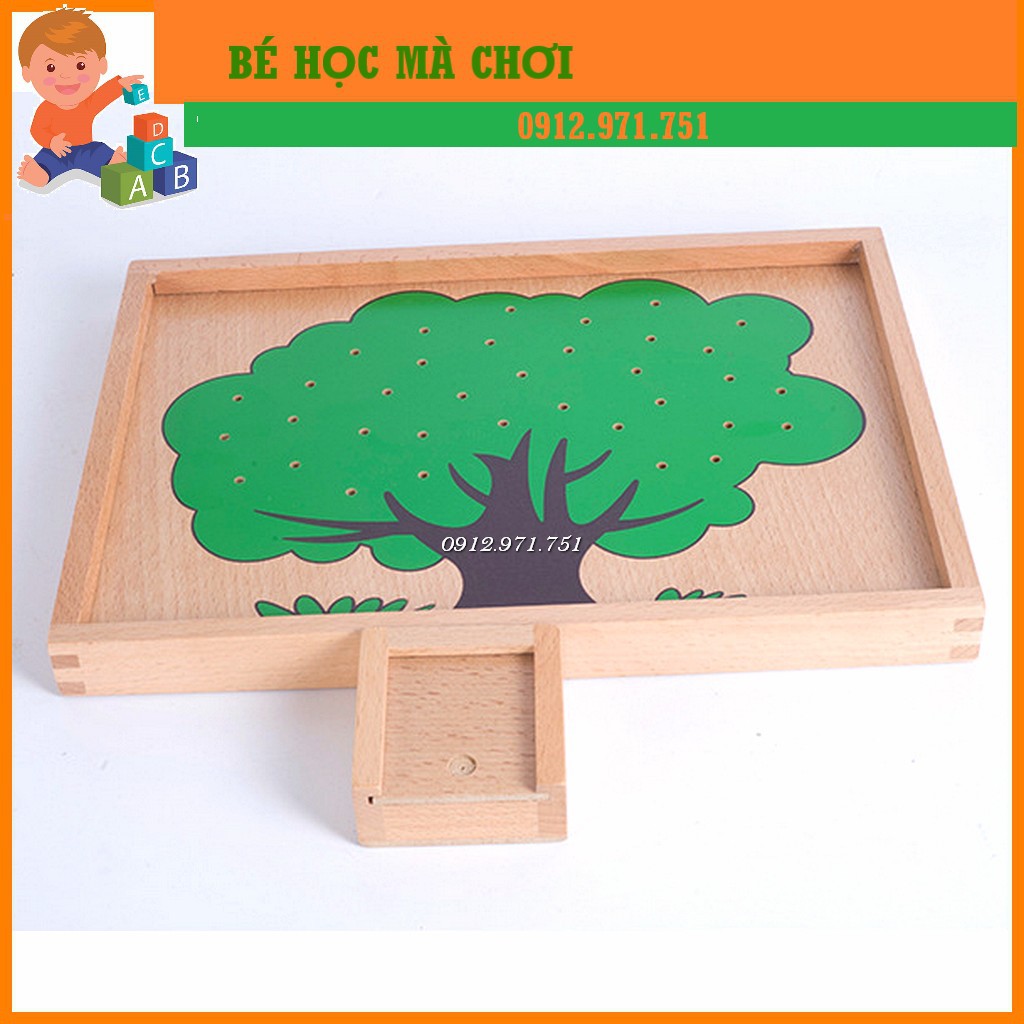 Giáo cụ Montessori - Cây táo học toán