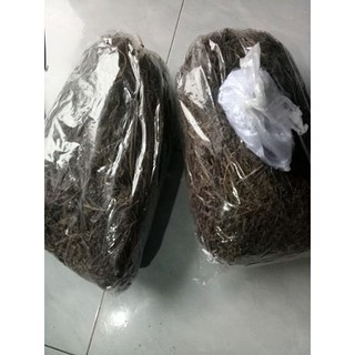 Cây làm thạch