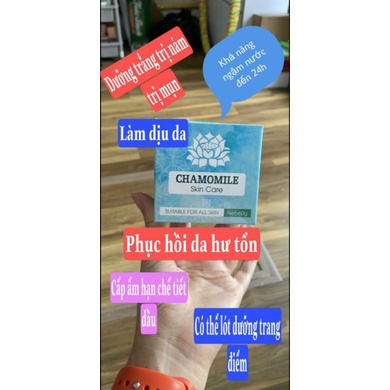 Kem dưỡng ngày lô hội Chamomile