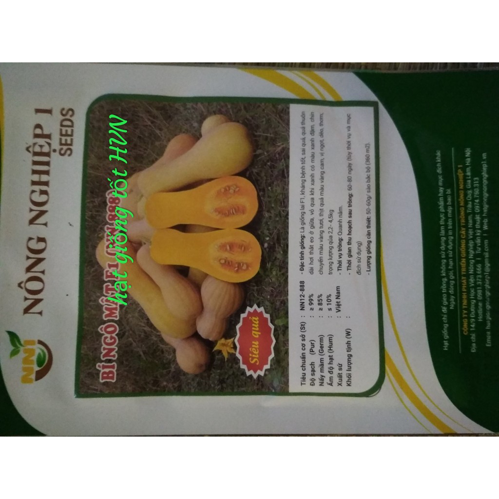 Hạt Giống Bí Ngô Mật F1 2gram