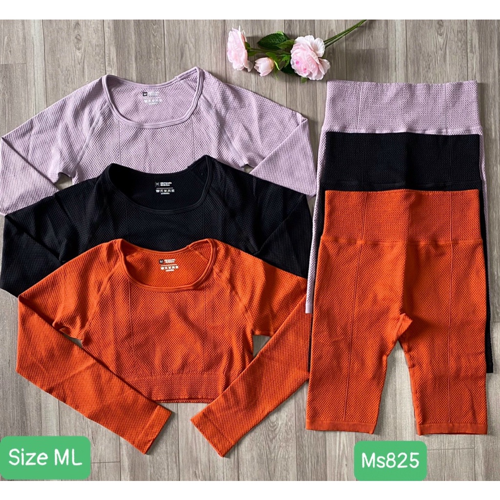 Đồ tập gym yoga thể thao nữ, set bộ dệt kim áo crop dài tay quần đùi ngố lưng cao gen bụng Bin Sports BL030