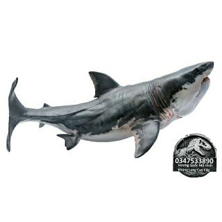 Mô hình cá mập Megalodon hãng PnSo