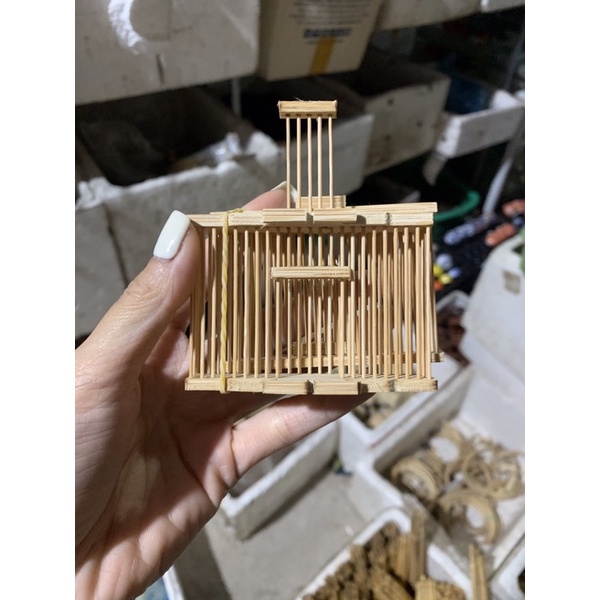 Rọ dế _ Chim chào mào, khuyên