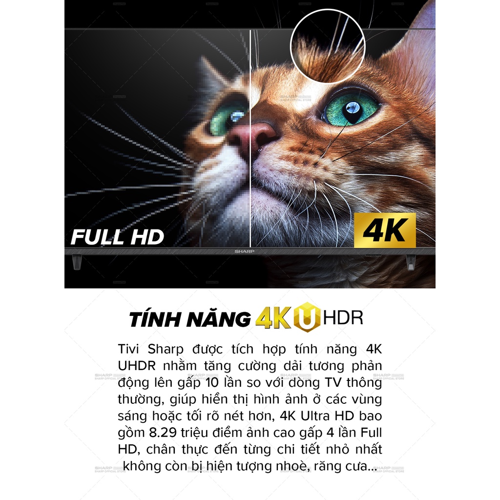 [Mã ELBAU7 giảm 7% đến 1TR][New model] TV LED 4K 50inch Sharp 4T-C50DJ3X SX Thái Lan [Android 10, có Giọng Nói]