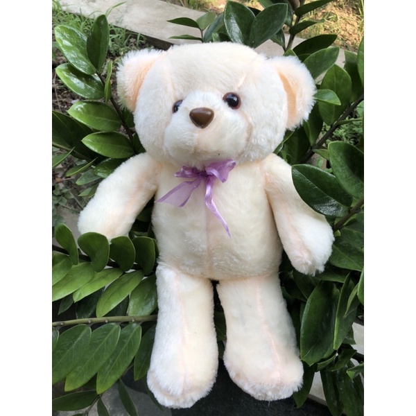 Gấu bông Teddy size 45cm dễ thương, mềm mịn, Thú Nhồi Bông Gấu Teddy size bé