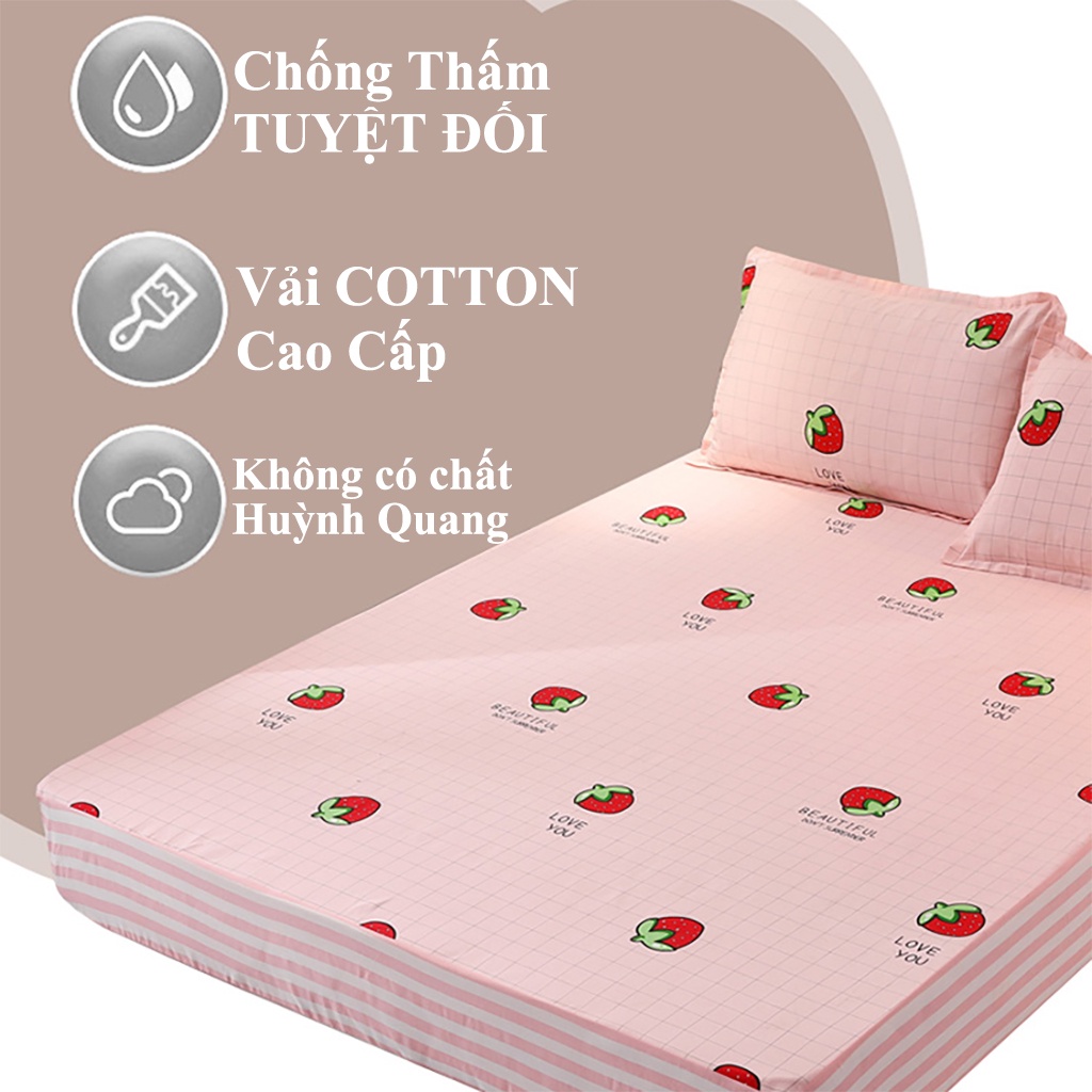 Ga giường chống thấm, ga chống thấm cotton Minichic không sột soạt hầm bí cho bé