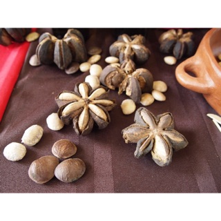 Hạt Sachi rang chín tự nhiên 500g hút chân không