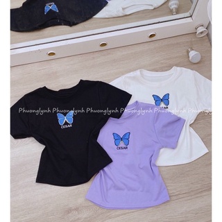 Áo croptop bướm siêu xinh