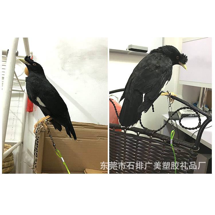 Dây lo xo lõi thép 3m