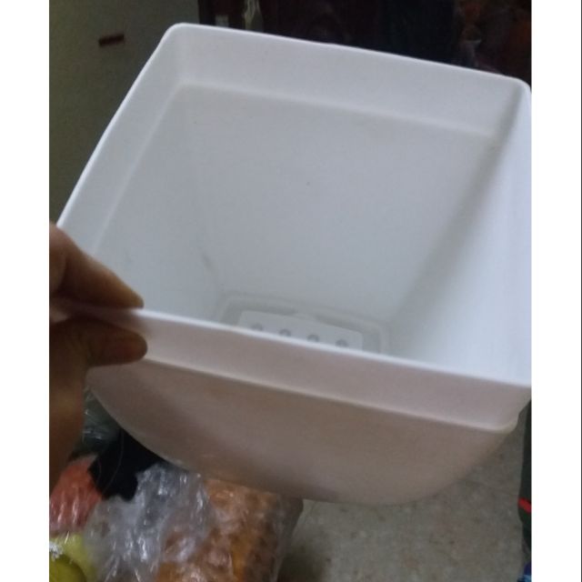 chậu trồng  cây vuông 20cm