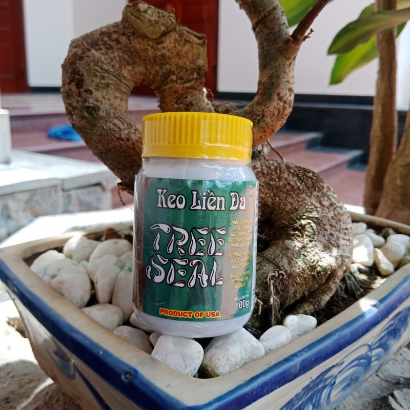 Keo Liền Sẹo Da Cây, Màu Đen Mỹ 100g