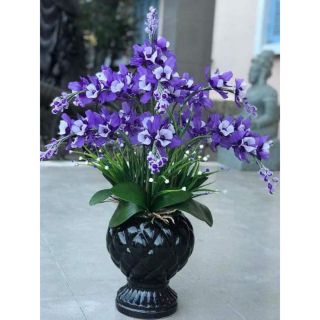 Combo đầy đủ 02 bộ nguyên liệu lan tím trắng pha lê