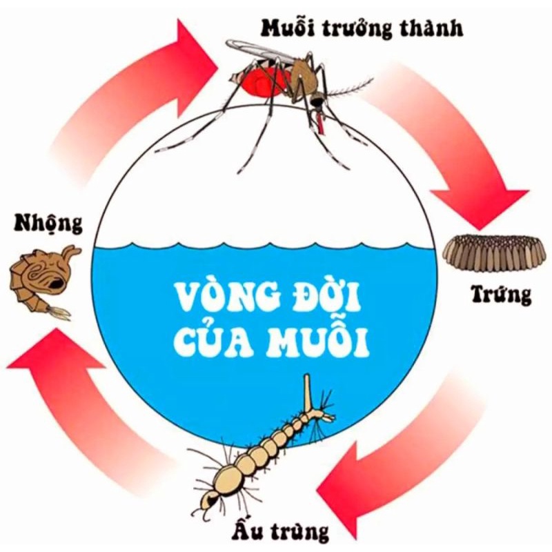 Thuốc diệt muỗi và diệt côn trùng gây hại Map permethrin 50EC 100ml