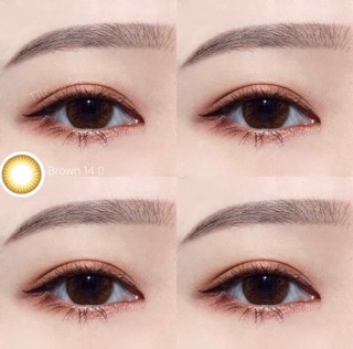 <LENS VASSEN> Lens Choco 14.0 - 14.2mm 0 độ