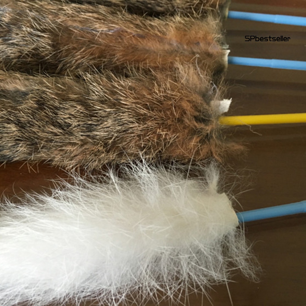 1 Cây Gậy Đồ Chơi Vui Nhộn Dành Cho Mèo