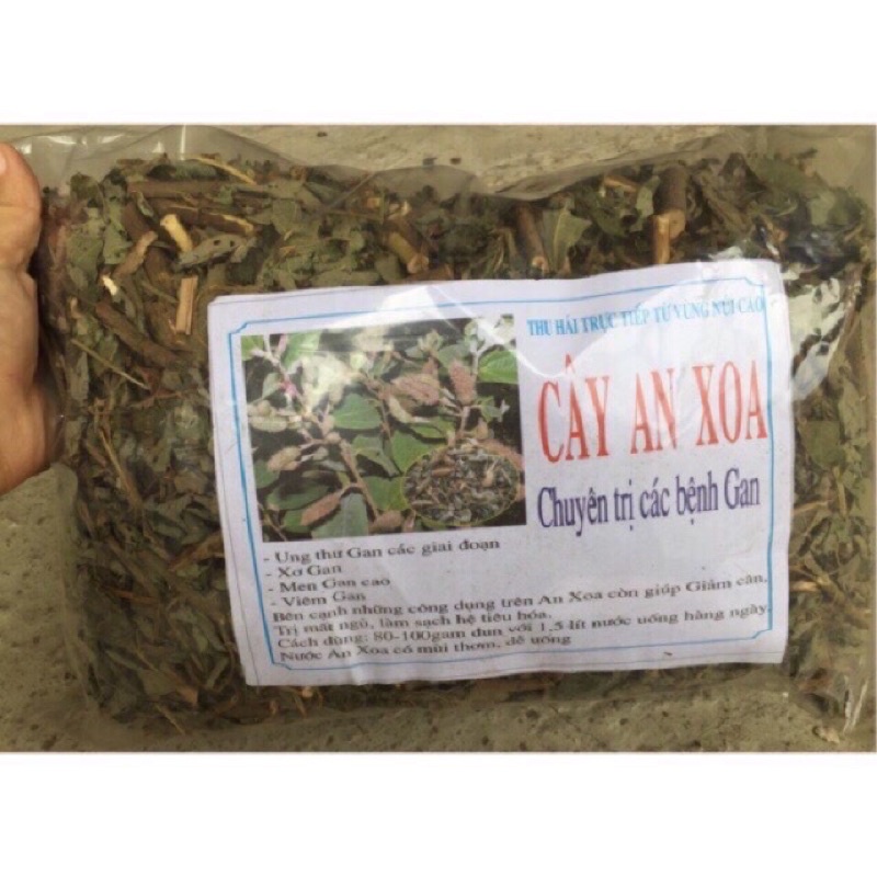 1Kg Cây An Xoa khô Hoà Bình tốt cho người bị gan