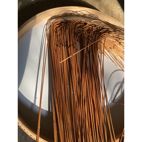 20 Nan Lồng Khuyên, Mào, Choè, Hàng Cật Già Bóng VIP.. Ảnh Thật