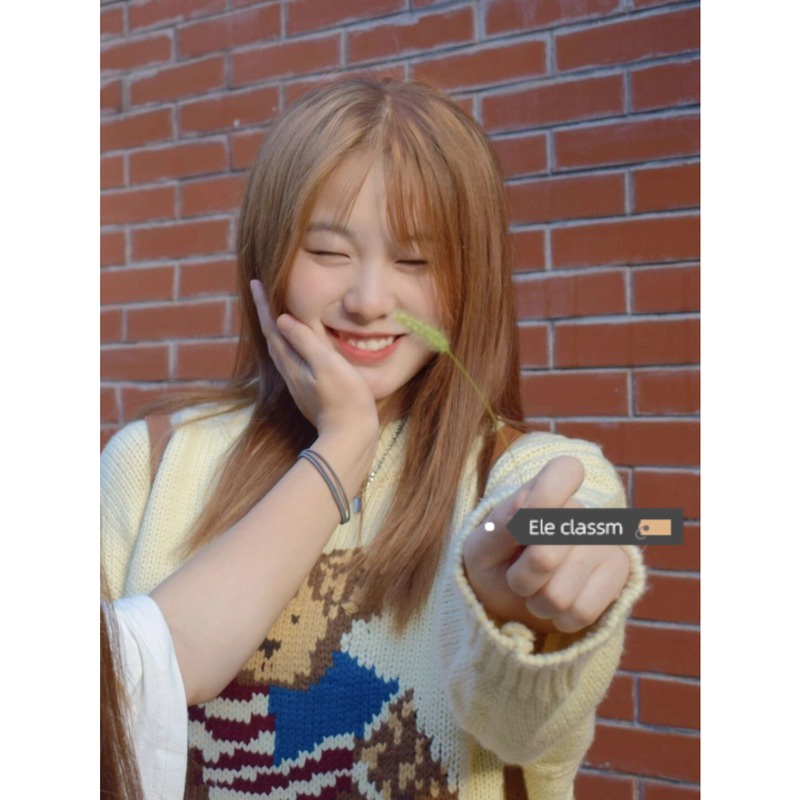 Áo len nữ họa tiết gấu thời trang