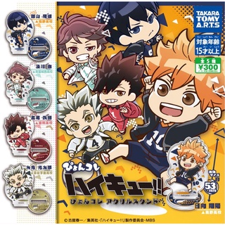 Haikyuu HQ Standee mini Pyonkore