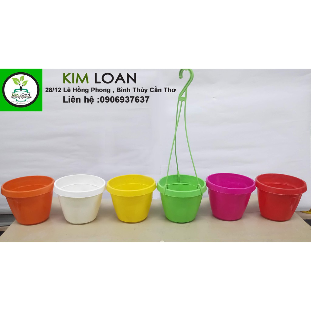 Combo 6 chậu treo mini tròn 6 màu kèm dây treo đường kính 11x9cm