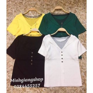 Áo len mongtoghi cộc tay phối cổ lưới