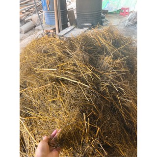 Nước Mùi Già