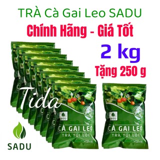 Trà Túi Lọc Cà Gai Leo SADU (2 Kg) Tặng 250 gam OS