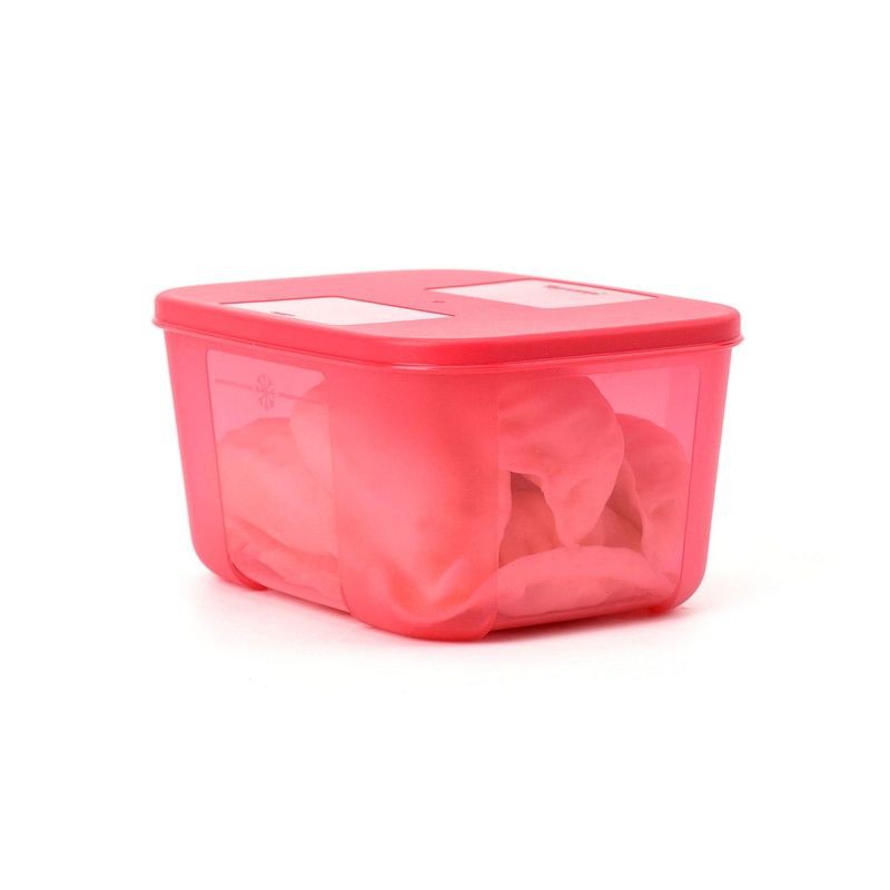Tupperware Hộp Trữ Đông Thực Phẩm Trong Tủ Lạnh Hộp Chữ Nhật Nhiều Màu 700ml TU20 | BigBuy360 - bigbuy360.vn