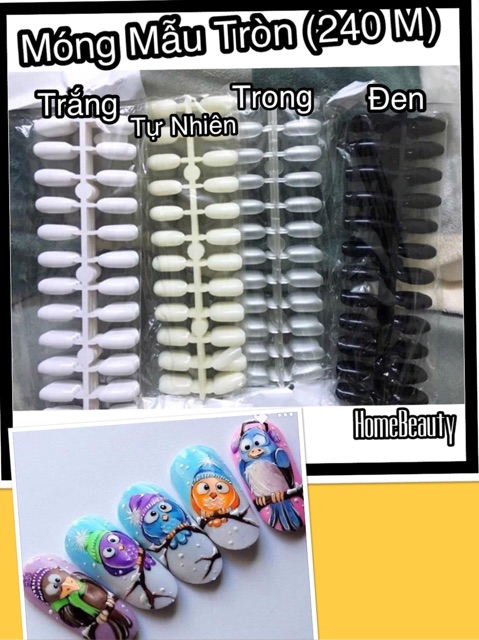 Móng Mẫu Tròn