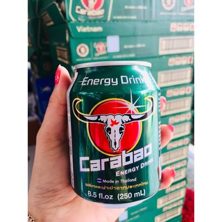 LỐC 6 LON TRÂU CỤNG THÁI CARABAO 250ML