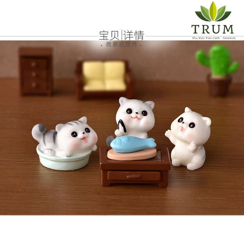 Mèo Baby Dễ Thương Lớn mô hình trang tri tiểu cảnh sen đá -terrariuma
