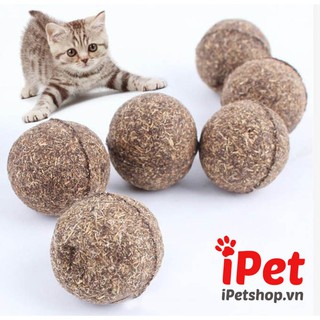 Bóng đồ chơi phủ cỏ bạc hà mèo catnip - iPet Shop
